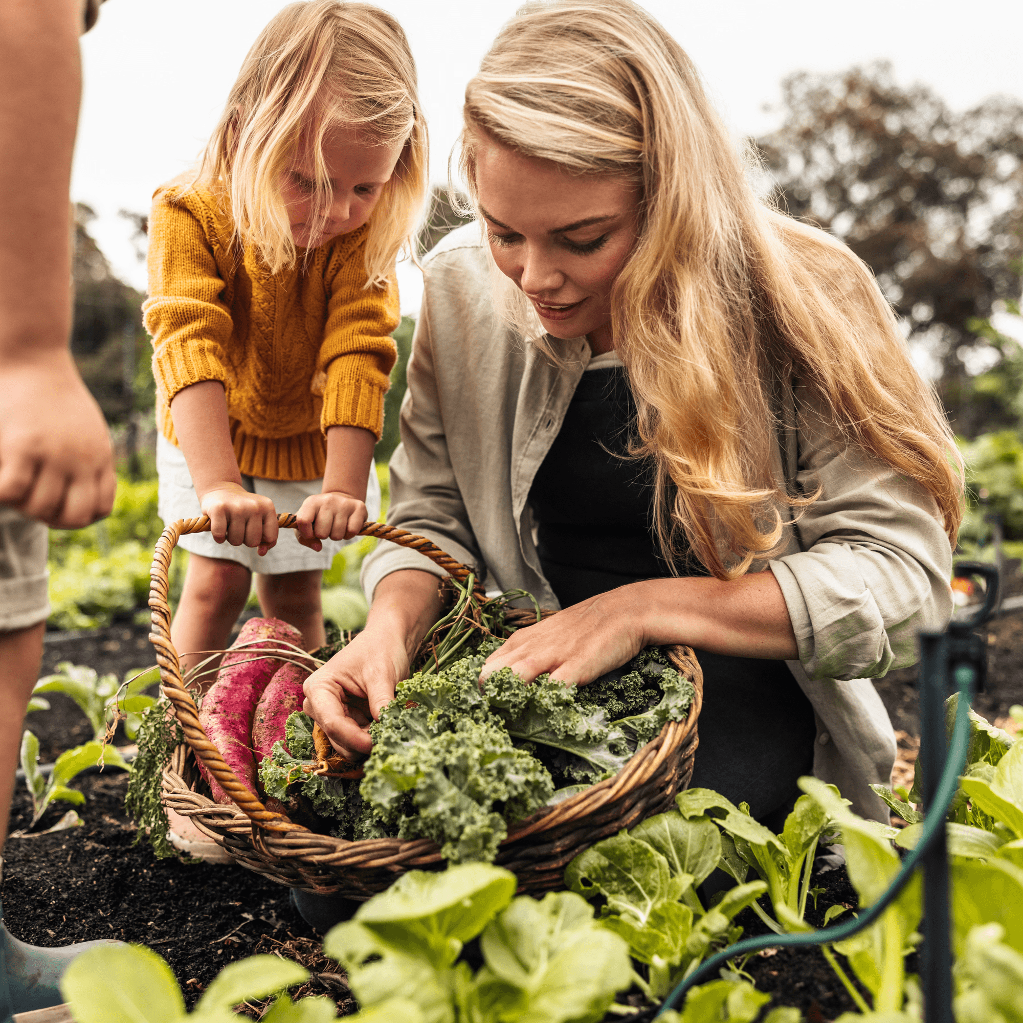 Natural Environment & Farming